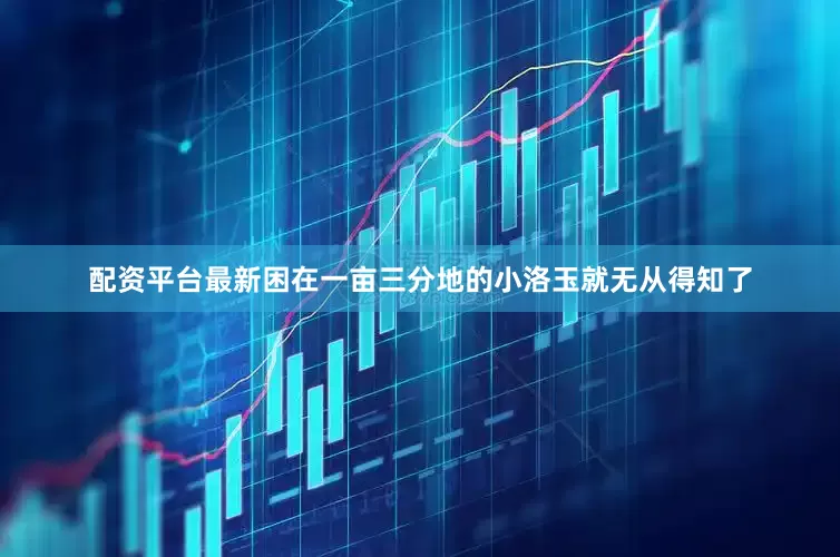 配资平台最新困在一亩三分地的小洛玉就无从得知了