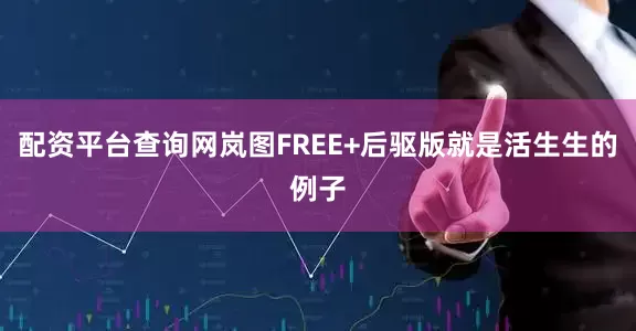 配资平台查询网岚图FREE+后驱版就是活生生的例子