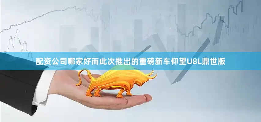 配资公司哪家好而此次推出的重磅新车仰望U8L鼎世版