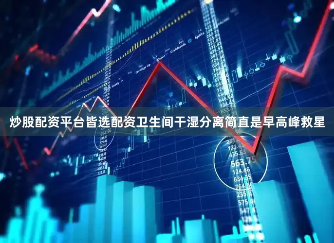 炒股配资平台皆选配资卫生间干湿分离简直是早高峰救星