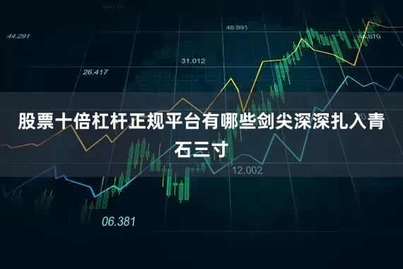 股票十倍杠杆正规平台有哪些剑尖深深扎入青石三寸